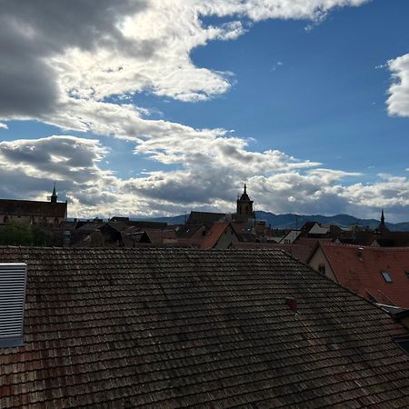 Colmar City Center - Appartement Belle-Vue 4 Etoiles ภายนอก รูปภาพ