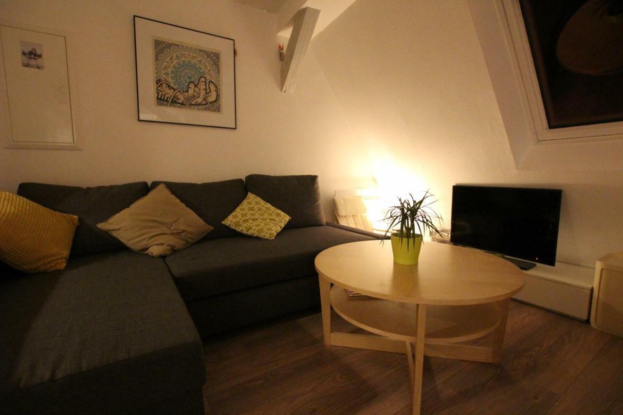 Colmar City Center - Appartement Belle-Vue 4 Etoiles ภายนอก รูปภาพ